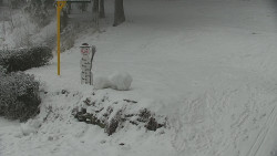 Běžecký lyžařský areál Nová Ves - horní část