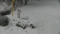 Běžecký lyžařský areál Nová Ves - horní část