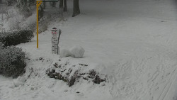 Běžecký lyžařský areál Nová Ves - horní část
