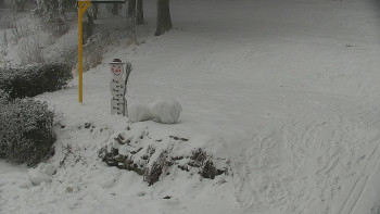 Chata Myslivna SKP Olomouc