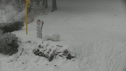 Běžecký lyžařský areál Nová Ves - horní část
