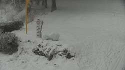 Běžecký lyžařský areál Nová Ves - horní část