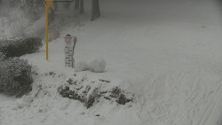 Běžecký lyžařský areál Nová Ves - horní část