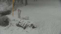 Běžecký lyžařský areál Nová Ves - horní část