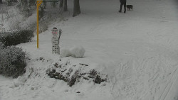 Běžecký lyžařský areál Nová Ves - horní část