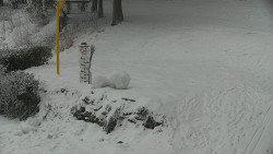 Běžecký lyžařský areál Nová Ves - horní část