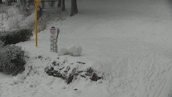 Běžecký lyžařský areál Nová Ves - horní část