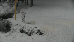 Běžecký lyžařský areál Nová Ves - horní část