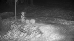 Běžecký lyžařský areál Nová Ves - horní část