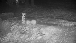 Běžecký lyžařský areál Nová Ves - horní část