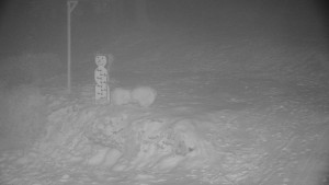 Chata Myslivna SKP Olomouc - Běžecký lyžařský areál Nová Ves - horní část - 31.1.2026 v 00:30