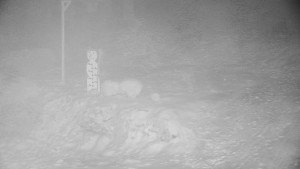 Chata Myslivna SKP Olomouc - Běžecký lyžařský areál Nová Ves - horní část - 31.1.2026 v 02:30