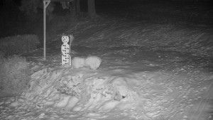 Chata Myslivna SKP Olomouc - Běžecký lyžařský areál Nová Ves - horní část - 31.1.2026 v 05:30