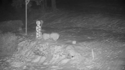 Běžecký lyžařský areál Nová Ves - horní část