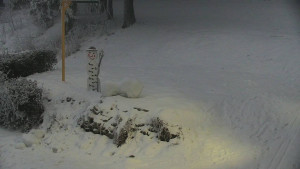 Chata Myslivna SKP Olomouc - Běžecký lyžařský areál Nová Ves - horní část - 31.1.2026 v 07:00 Chata Myslivna SKP Olomouc - Běžecký lyžařský areál Nová Ves - horní část - 31.1.2026 v 07:00