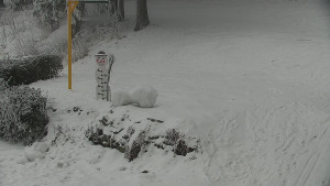 Chata Myslivna SKP Olomouc - Běžecký lyžařský areál Nová Ves - horní část - 31.1.2026 v 07:30