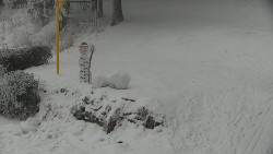 Běžecký lyžařský areál Nová Ves - horní část