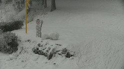 Běžecký lyžařský areál Nová Ves - horní část