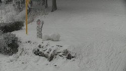 Běžecký lyžařský areál Nová Ves - horní část