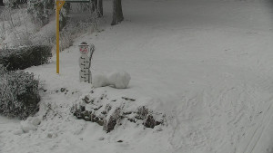 Chata Myslivna SKP Olomouc - Běžecký lyžařský areál Nová Ves - horní část - 31.1.2026 v 09:30