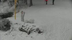 Běžecký lyžařský areál Nová Ves - horní část