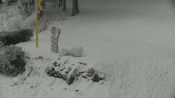 Chata Myslivna SKP Olomouc