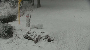 Chata Myslivna SKP Olomouc - Běžecký lyžařský areál Nová Ves - horní část - 31.1.2026 v 11:00 Chata Myslivna SKP Olomouc - Běžecký lyžařský areál Nová Ves - horní část - 31.1.2026 v 11:00