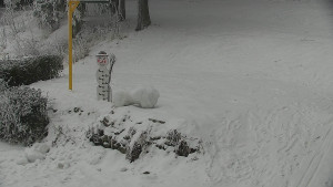 Chata Myslivna SKP Olomouc - Běžecký lyžařský areál Nová Ves - horní část - 31.1.2026 v 11:30