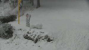 Chata Myslivna SKP Olomouc - Běžecký lyžařský areál Nová Ves - horní část - 31.1.2026 v 12:00 Chata Myslivna SKP Olomouc - Běžecký lyžařský areál Nová Ves - horní část - 31.1.2026 v 12:00