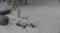 Běžecký lyžařský areál Nová Ves - horní část