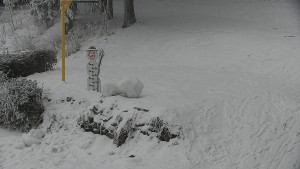 Chata Myslivna SKP Olomouc - Běžecký lyžařský areál Nová Ves - horní část - 31.1.2026 v 12:30