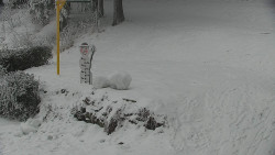 Běžecký lyžařský areál Nová Ves - horní část