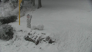 Chata Myslivna SKP Olomouc - Běžecký lyžařský areál Nová Ves - horní část - 31.1.2026 v 13:30