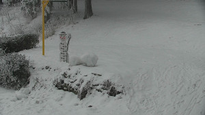 Chata Myslivna SKP Olomouc - Běžecký lyžařský areál Nová Ves - horní část - 31.1.2026 v 14:00 Chata Myslivna SKP Olomouc - Běžecký lyžařský areál Nová Ves - horní část - 31.1.2026 v 14:00