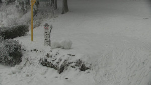Chata Myslivna SKP Olomouc - Běžecký lyžařský areál Nová Ves - horní část - 31.1.2026 v 14:30