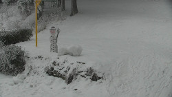 Běžecký lyžařský areál Nová Ves - horní část