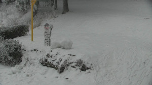 Chata Myslivna SKP Olomouc - Běžecký lyžařský areál Nová Ves - horní část - 31.1.2026 v 15:00 Chata Myslivna SKP Olomouc - Běžecký lyžařský areál Nová Ves - horní část - 31.1.2026 v 15:00