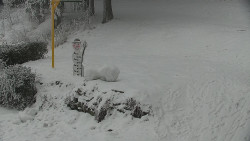 Běžecký lyžařský areál Nová Ves - horní část