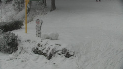 Běžecký lyžařský areál Nová Ves - horní část