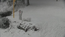 Běžecký lyžařský areál Nová Ves - horní část