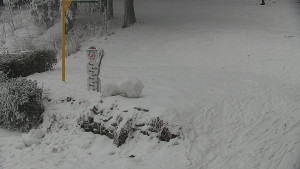 Chata Myslivna SKP Olomouc - Běžecký lyžařský areál Nová Ves - horní část - 31.1.2026 v 16:30 Chata Myslivna SKP Olomouc - Běžecký lyžařský areál Nová Ves - horní část - 31.1.2026 v 16:30