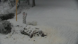 Běžecký lyžařský areál Nová Ves - horní část