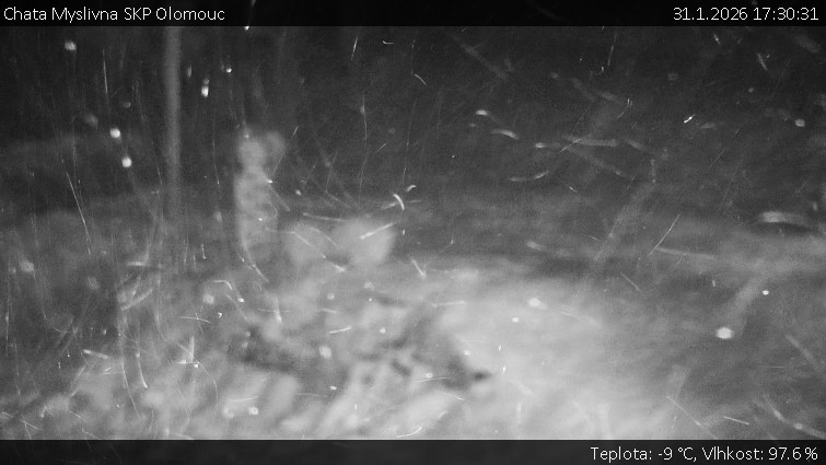 Chata Myslivna SKP Olomouc - Běžecký lyžařský areál Nová Ves - horní část - 31.1.2026 v 17:30