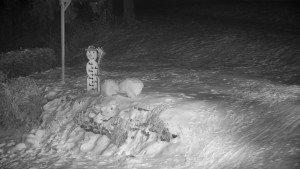 Chata Myslivna SKP Olomouc - Běžecký lyžařský areál Nová Ves - horní část - 31.1.2026 v 19:00