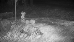 Běžecký lyžařský areál Nová Ves - horní část