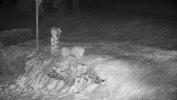 Běžecký lyžařský areál Nová Ves - horní část