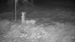 Běžecký lyžařský areál Nová Ves - horní část