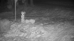 Běžecký lyžařský areál Nová Ves - horní část