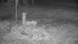 Běžecký lyžařský areál Nová Ves - horní část