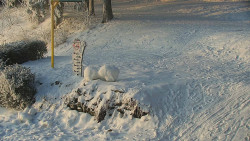 Běžecký lyžařský areál Nová Ves - horní část